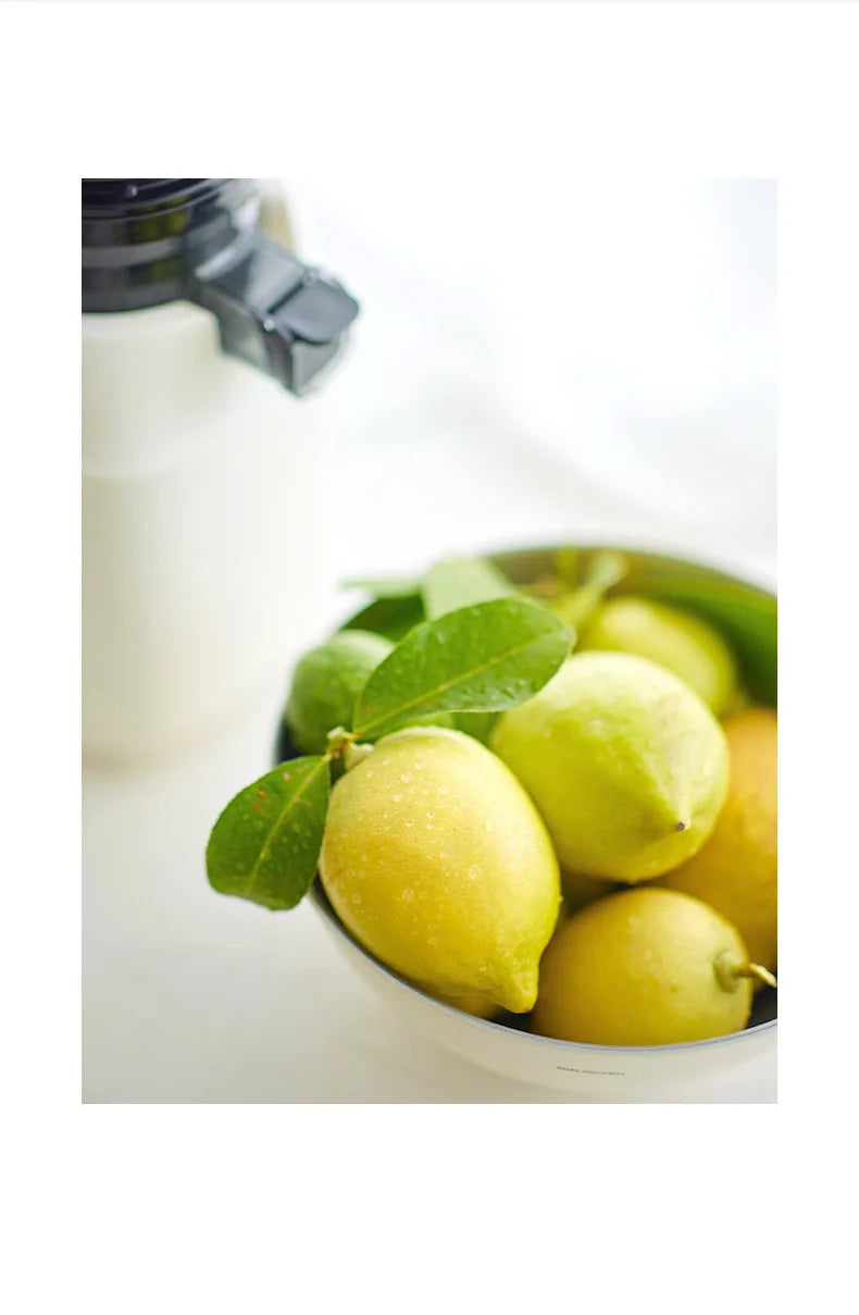 ShakelyPro WideChute SlowPress Juicer