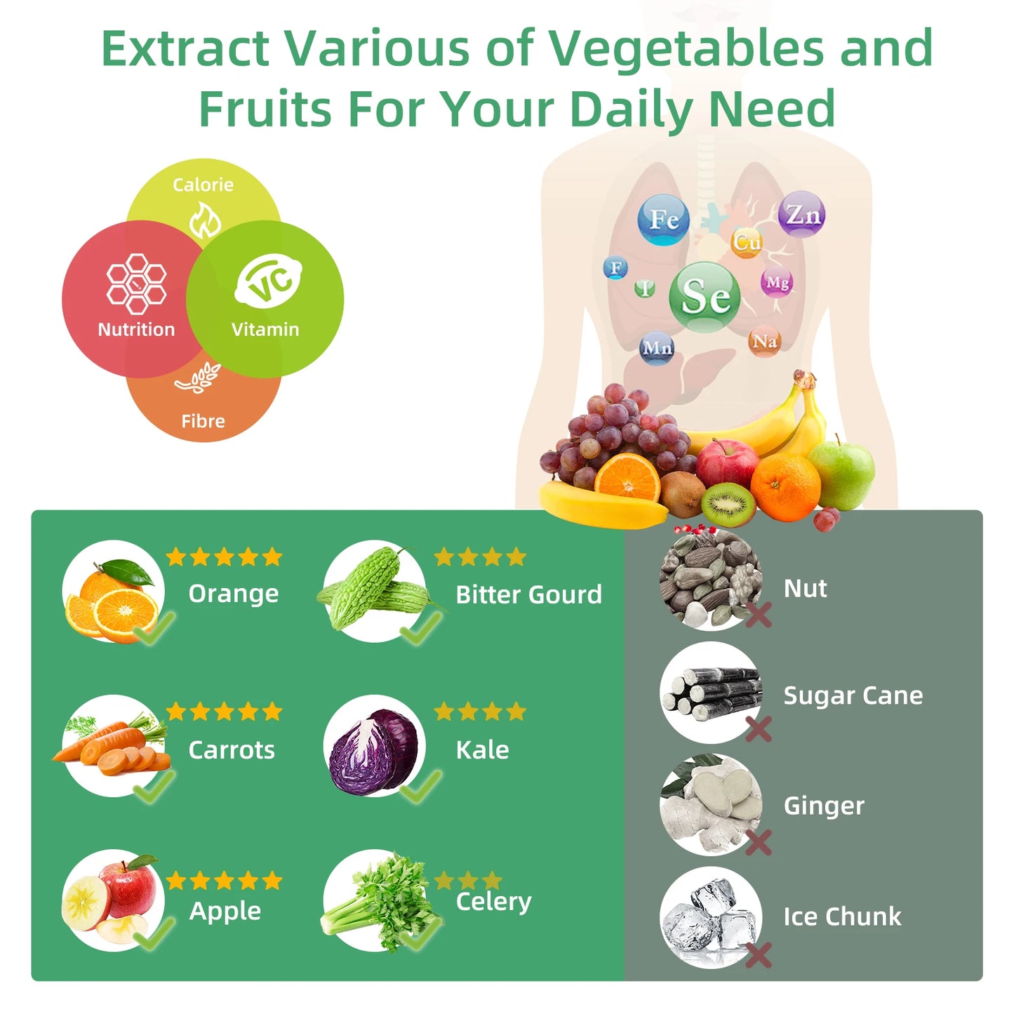 ShakelyPro ColdPress 200W Slow Juicer