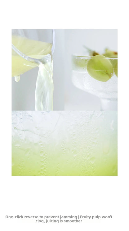 ShakelyPro WideChute SlowPress Juicer